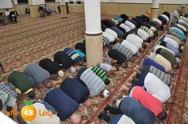 msajed amer qder 804 (5).JPG